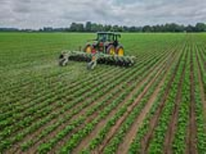 09 Row Crop Cultivator